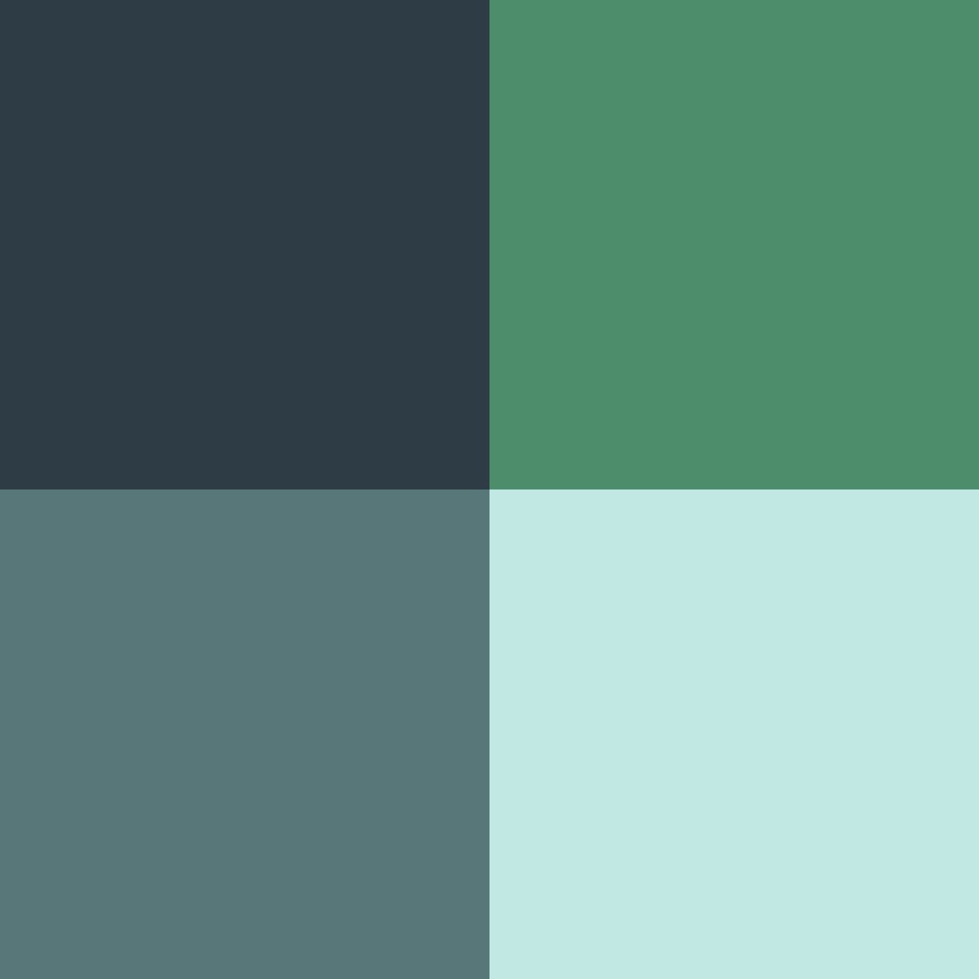 Brand design process - storefront palette | Story Icon TLV